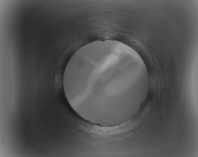 X0000088480043200706191414