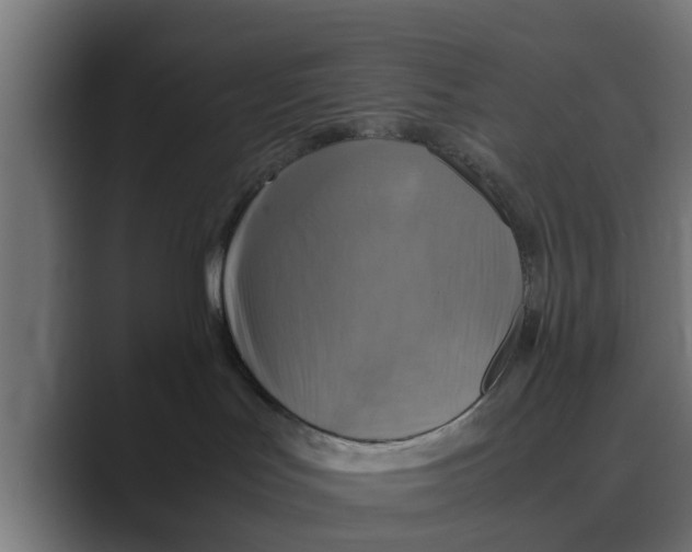 X0000088480047200706191414