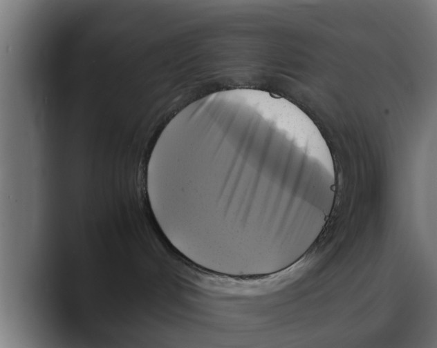 X0000088480048200706191414