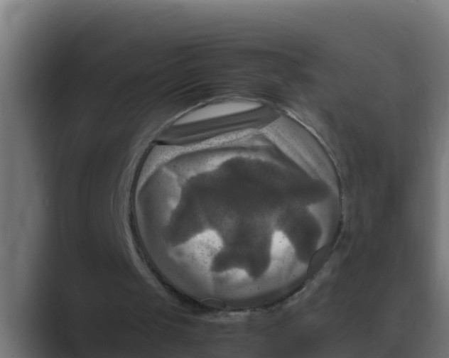 X0000088480049200706191414