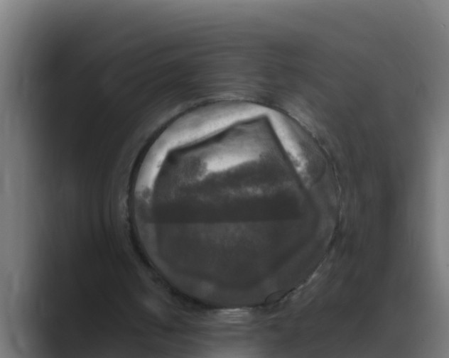 X0000088480050200706191414