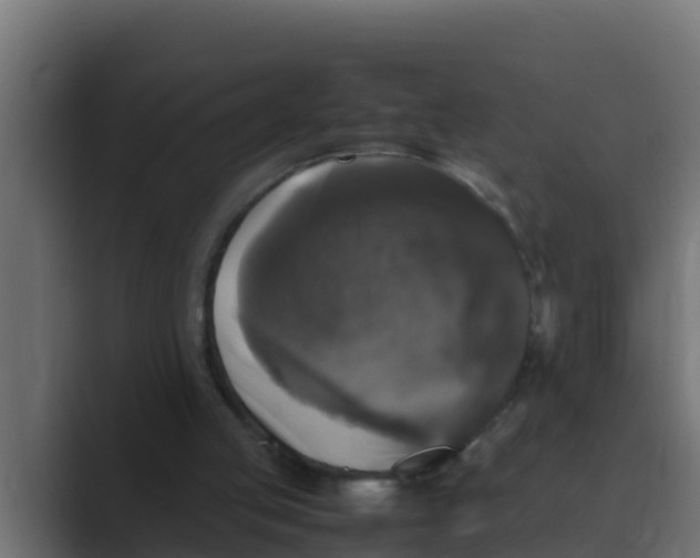 X0000088480053200706191414