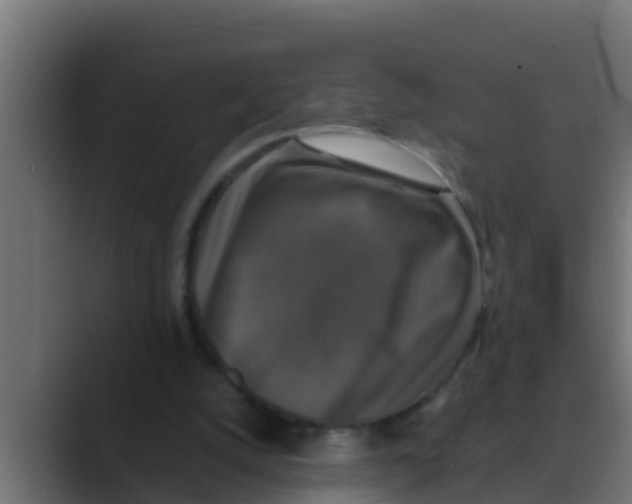 X0000088480056200706191414