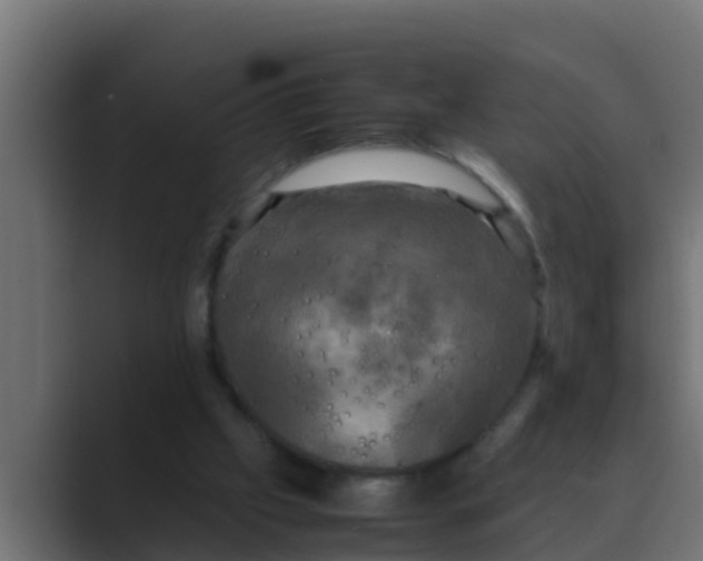 X0000088480057200706191414