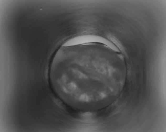 X0000088480058200706191414