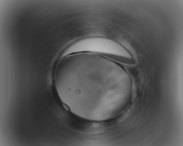 X0000088480060200706191414