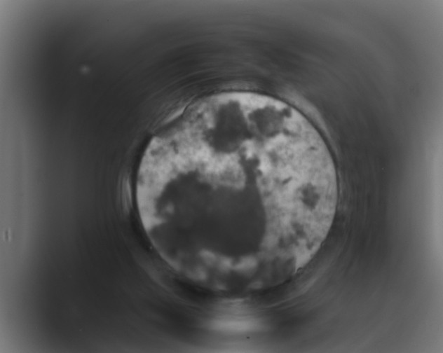 X0000088480061200706191414