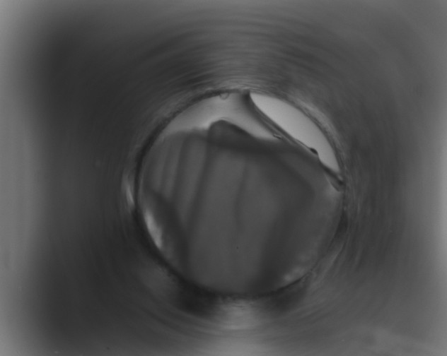 X0000088480062200706191414