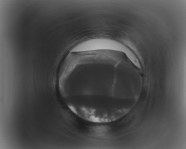 X0000088480063200706191414