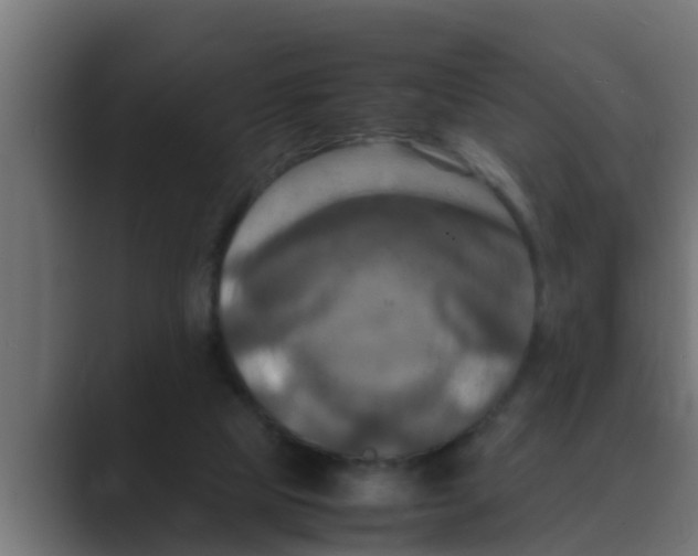 X0000088480065200706191414