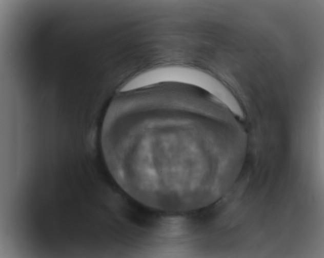 X0000088480066200706191414