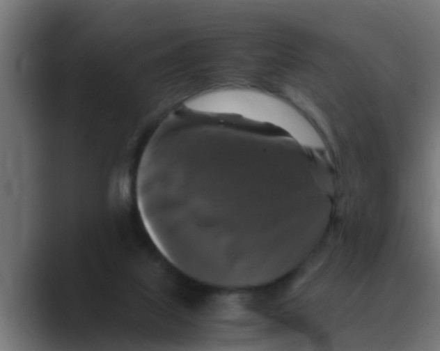 X0000088480067200706191414