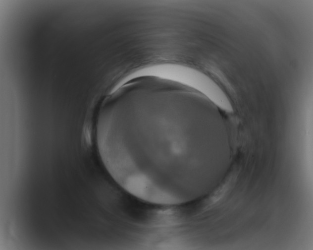 X0000088480068200706191414