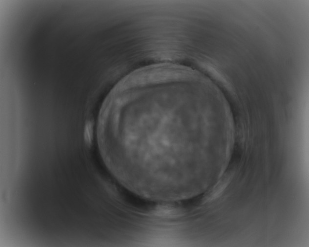 X0000088480070200706191414