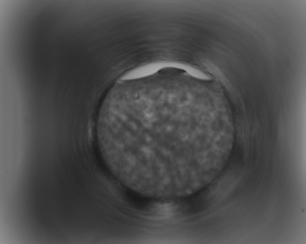 X0000088480071200706191414