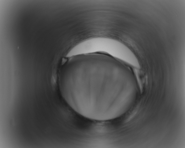 X0000088480072200706191414