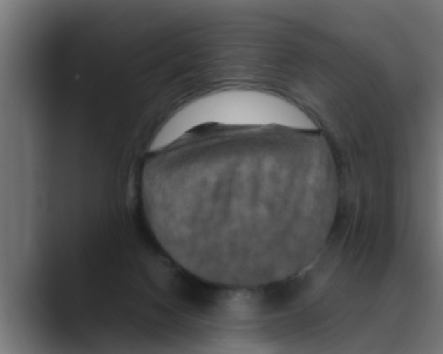 X0000088480074200706191414