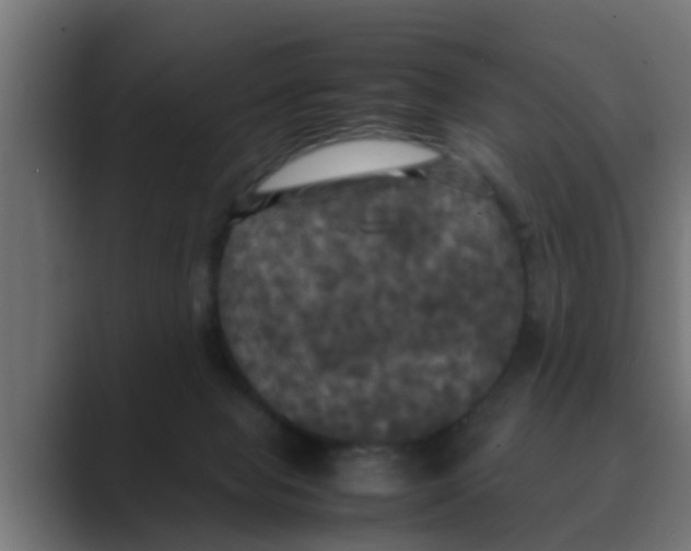 X0000088480077200706191414