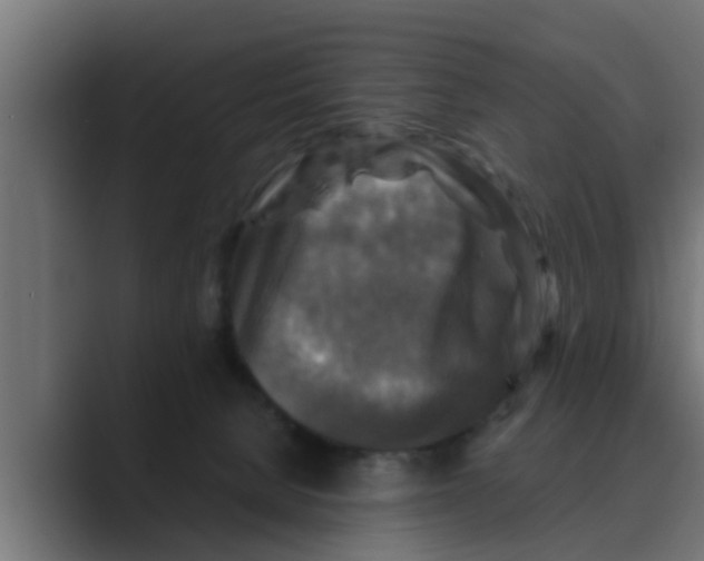 X0000088480080200706191414