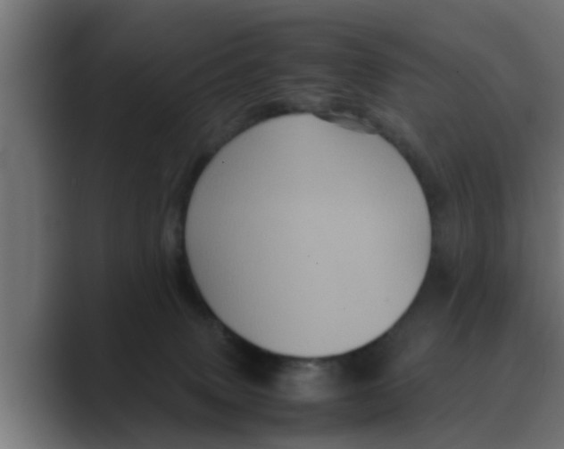 X0000088480083200706191414