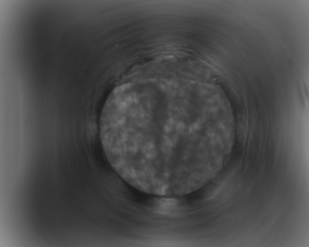 X0000088480085200706191414