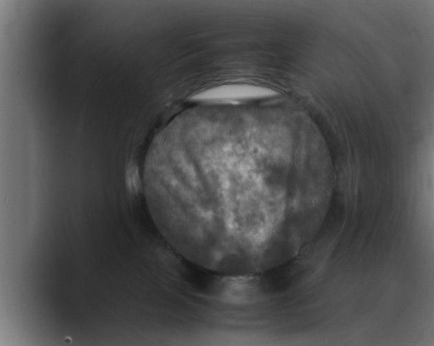 X0000088480089200706191414