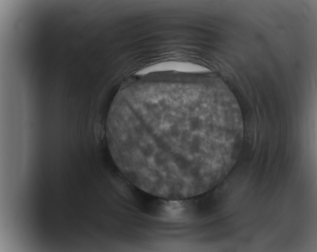 X0000088480091200706191414