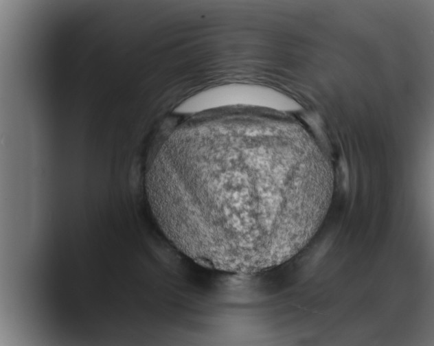 X0000088480092200706191414