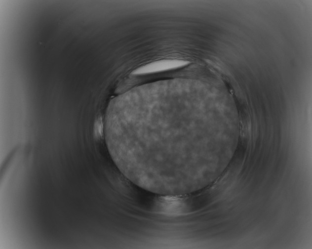 X0000088480095200706191414