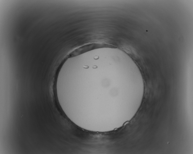 X0000088480098200706191414