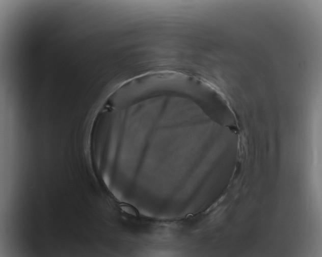 X0000088480099200706191414