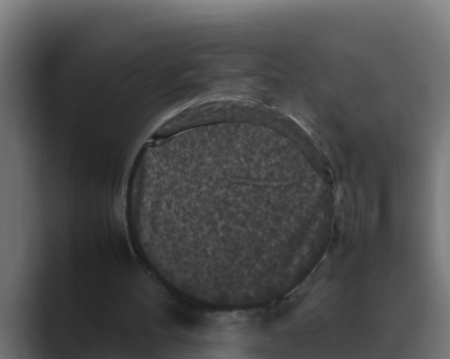 X0000088480100200706191414