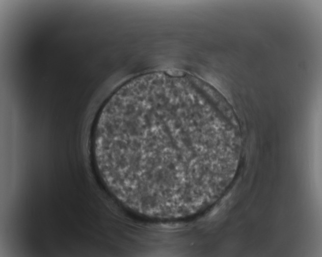 X0000088480103200706191414