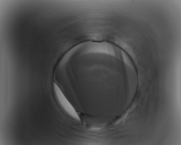 X0000088480105200706191414