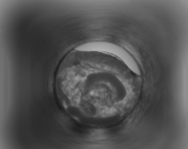 X0000088480107200706191413