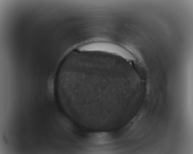 X0000088480108200706191413