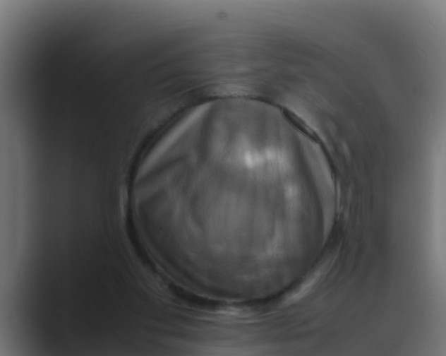 X0000088480109200706191413