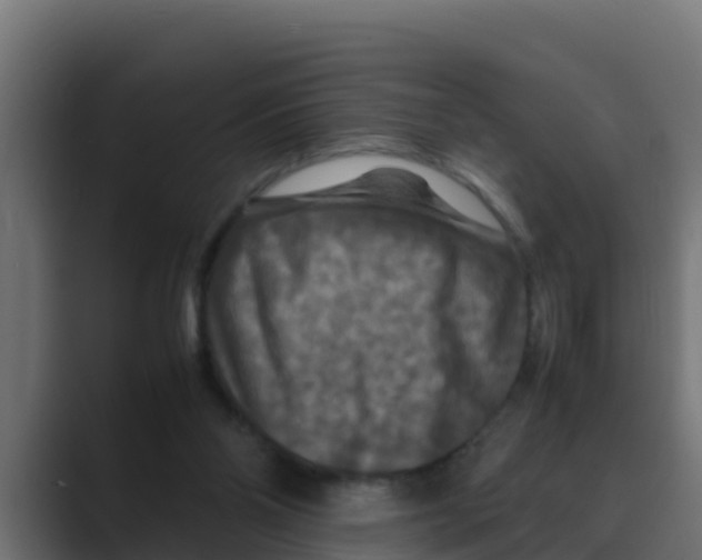 X0000088480110200706191413