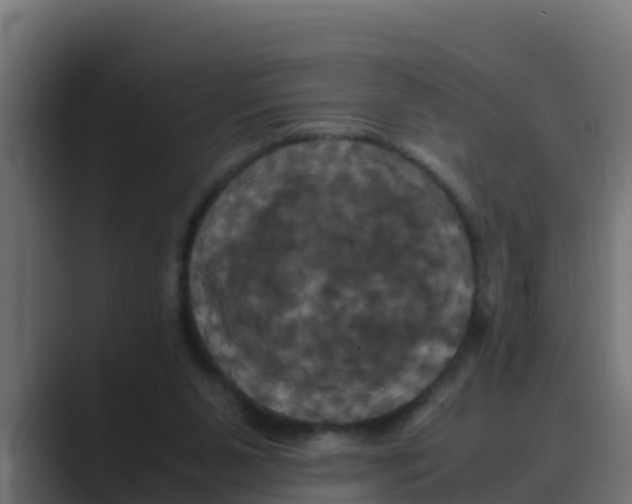 X0000088480111200706191413