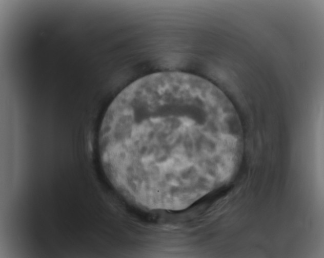 X0000088480115200706191413