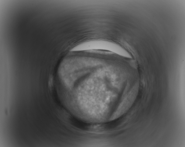 X0000088480117200706191413