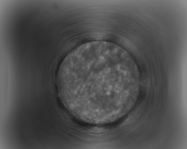 X0000088480119200706191413