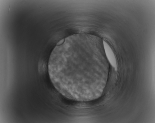 X0000088480123200706191413