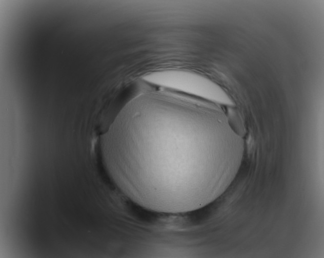 X0000088480125200706191413