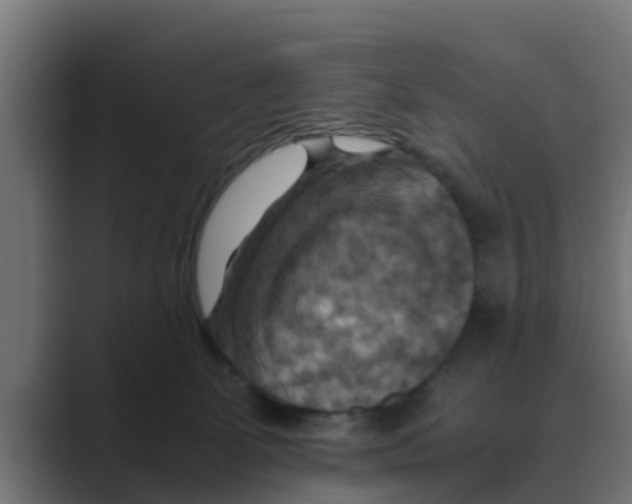 X0000088480131200706191413