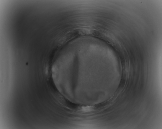 X0000088480134200706191413