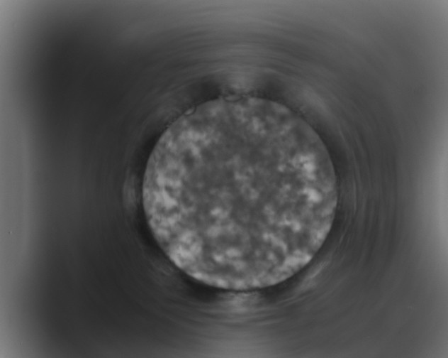 X0000088480135200706191413