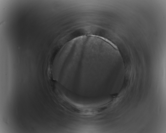 X0000088480137200706191413