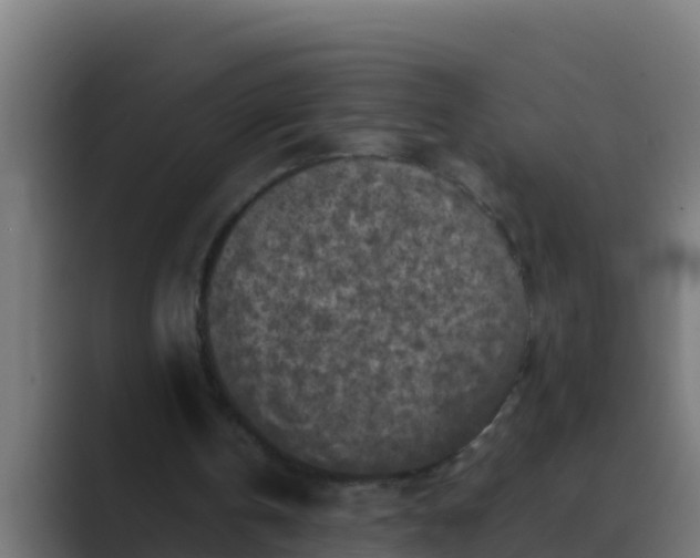 X0000088480146200706191413