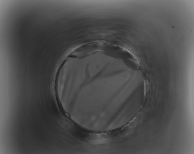 X0000088480147200706191413